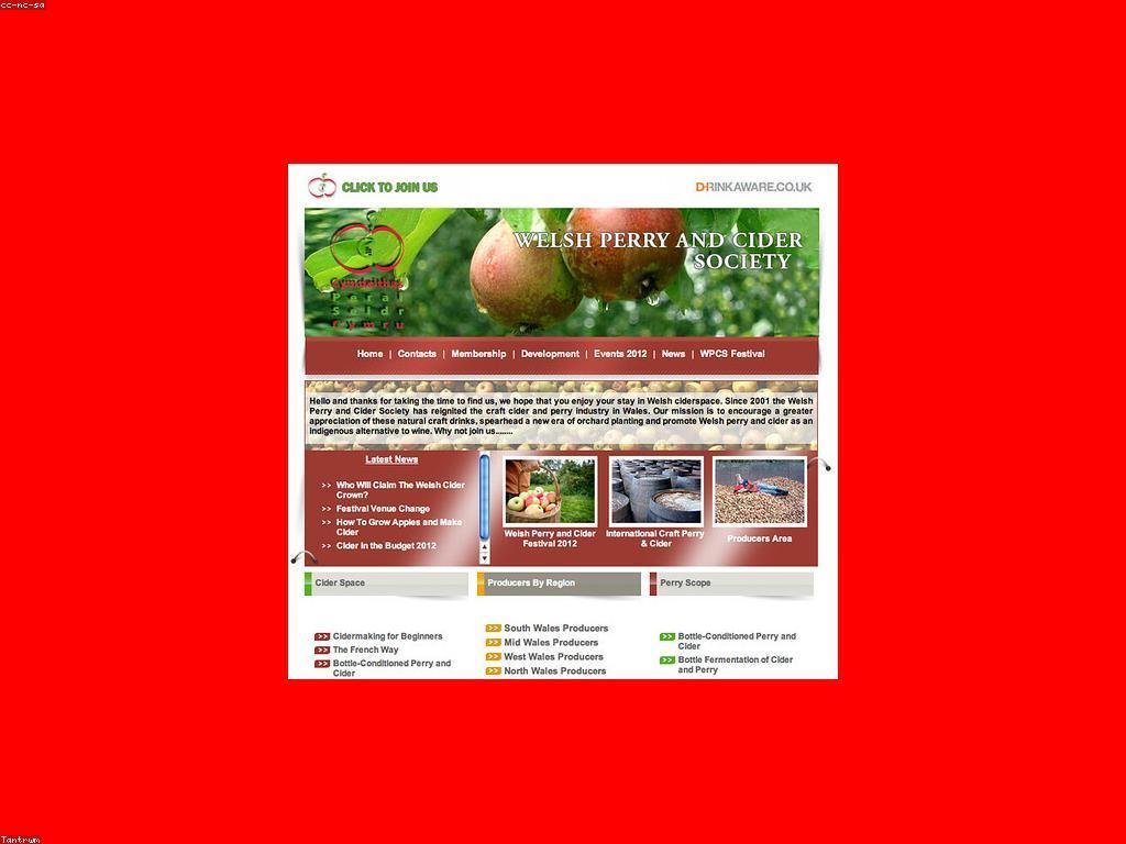 ការពិនិត្យគេហទំព័រ៖ ការពិចារណានិងការត្រួតពិនិត្យ