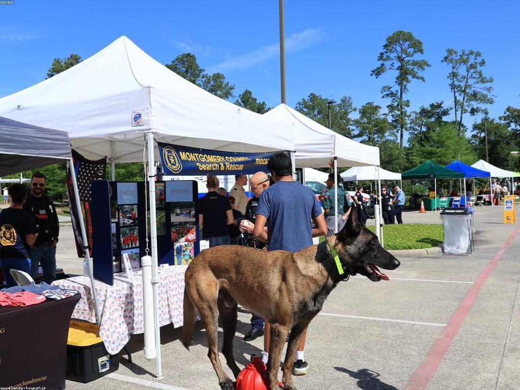 មគ្គុទេសក៍ព័ត៌មានសុវត្ថិភាពសម្រាប់គ្រួសារ